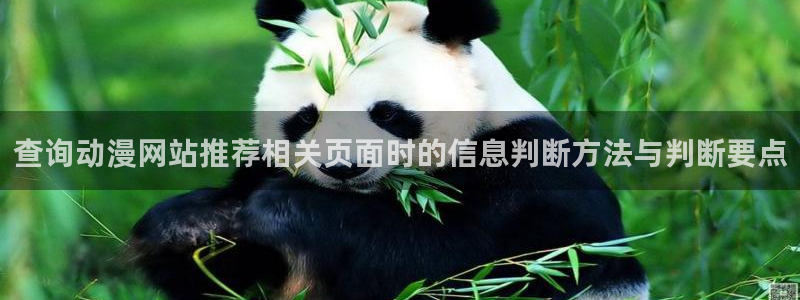 终末的后宫动漫完整版观看