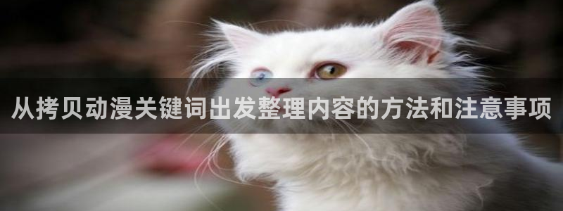 搞笑动漫图片:从拷贝动漫关键词出发整理内容的方法和注意事项