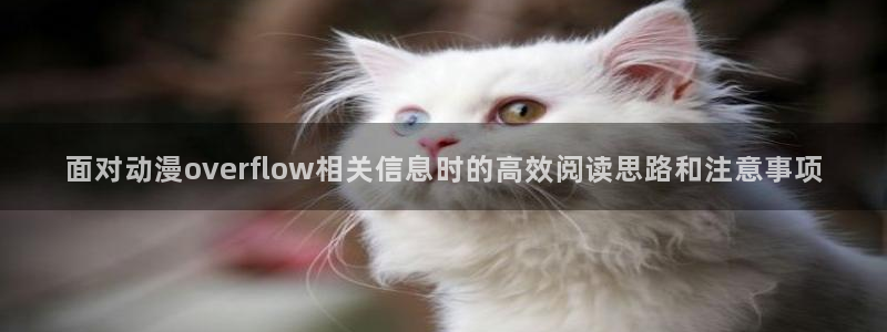 悬疑动画