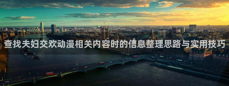 动漫片推荐:查找夫妇交欢动漫相关内容时的信息整理思路与实用技巧