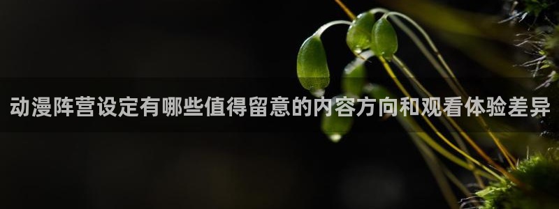 动漫之家app