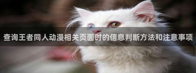 国产动漫排行榜前十名:查询王者同人动漫相关页面时的信息判断方法和注意事项