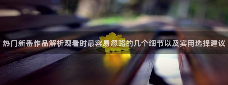 动漫网站推荐