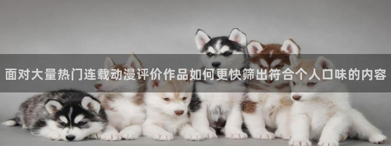 国产动漫排行榜前十名